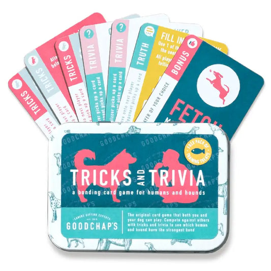 10 Trick & Trivia Card Games