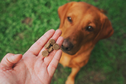 Denzel’s Training Bites - Salmon & Peanut Butter