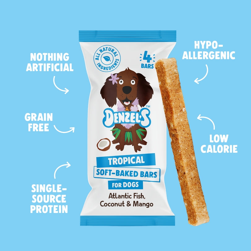 Denzel's Dog Chews –