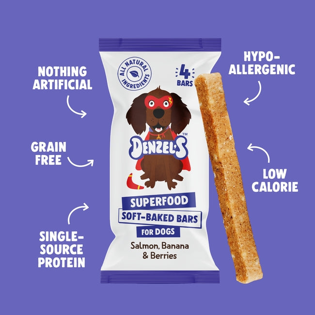 Denzel's Dog Chews – Salmon, Banana & Berries